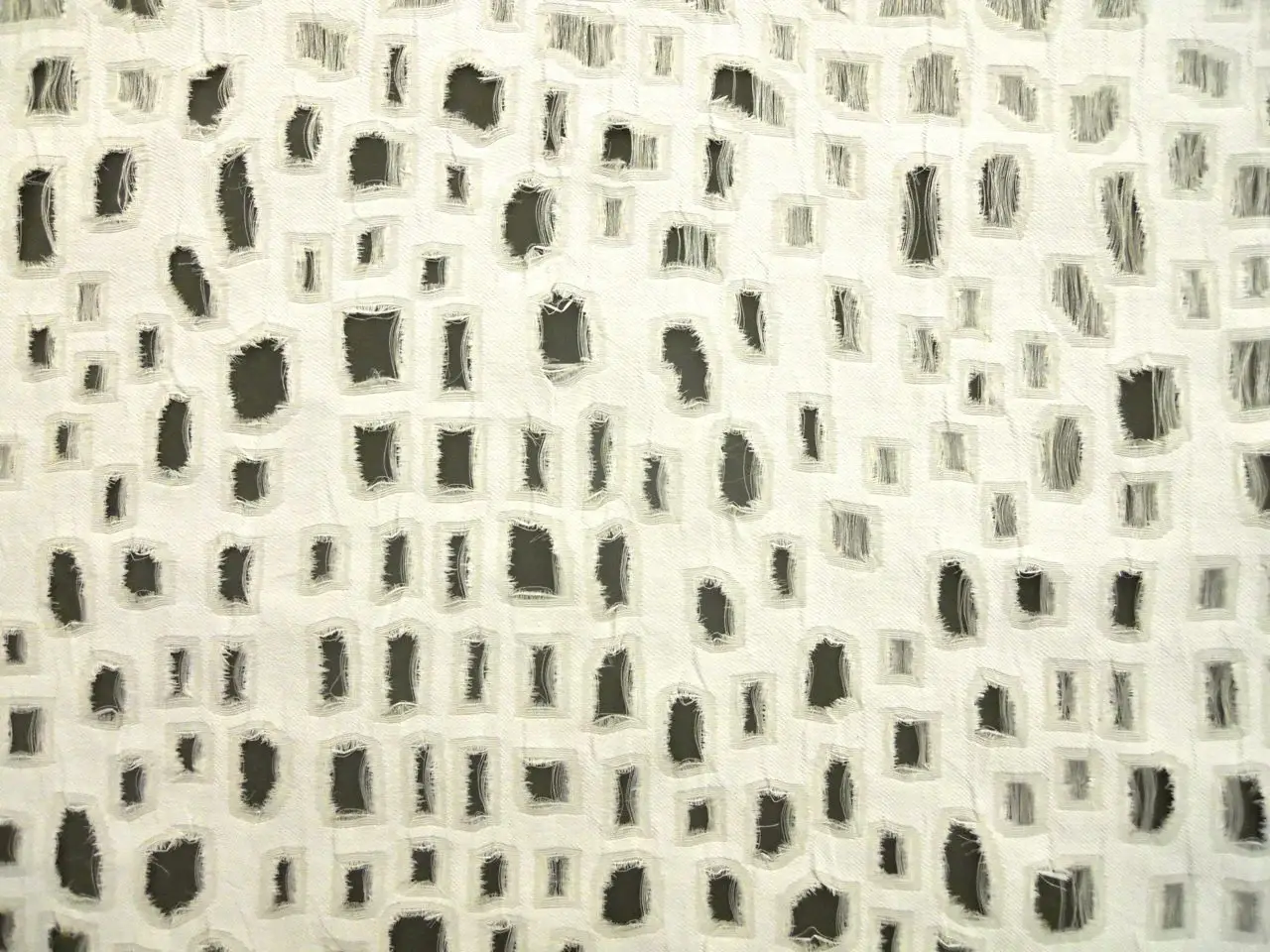 Cut Out Silk Gazar0