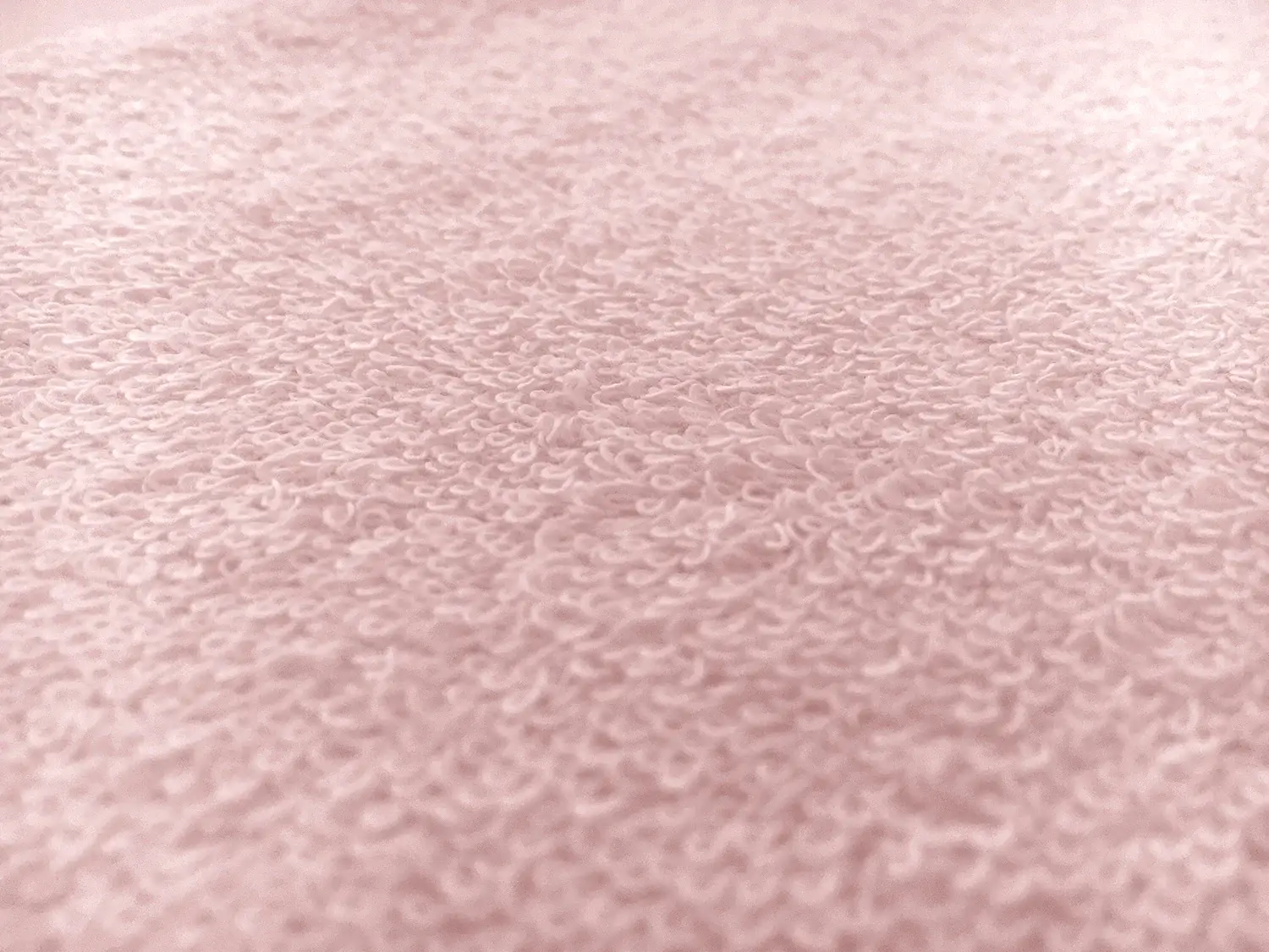 Cotton Terry Velour in Pink3