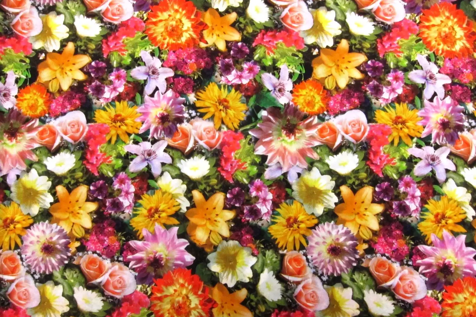 Printed Silk Charmeuse0