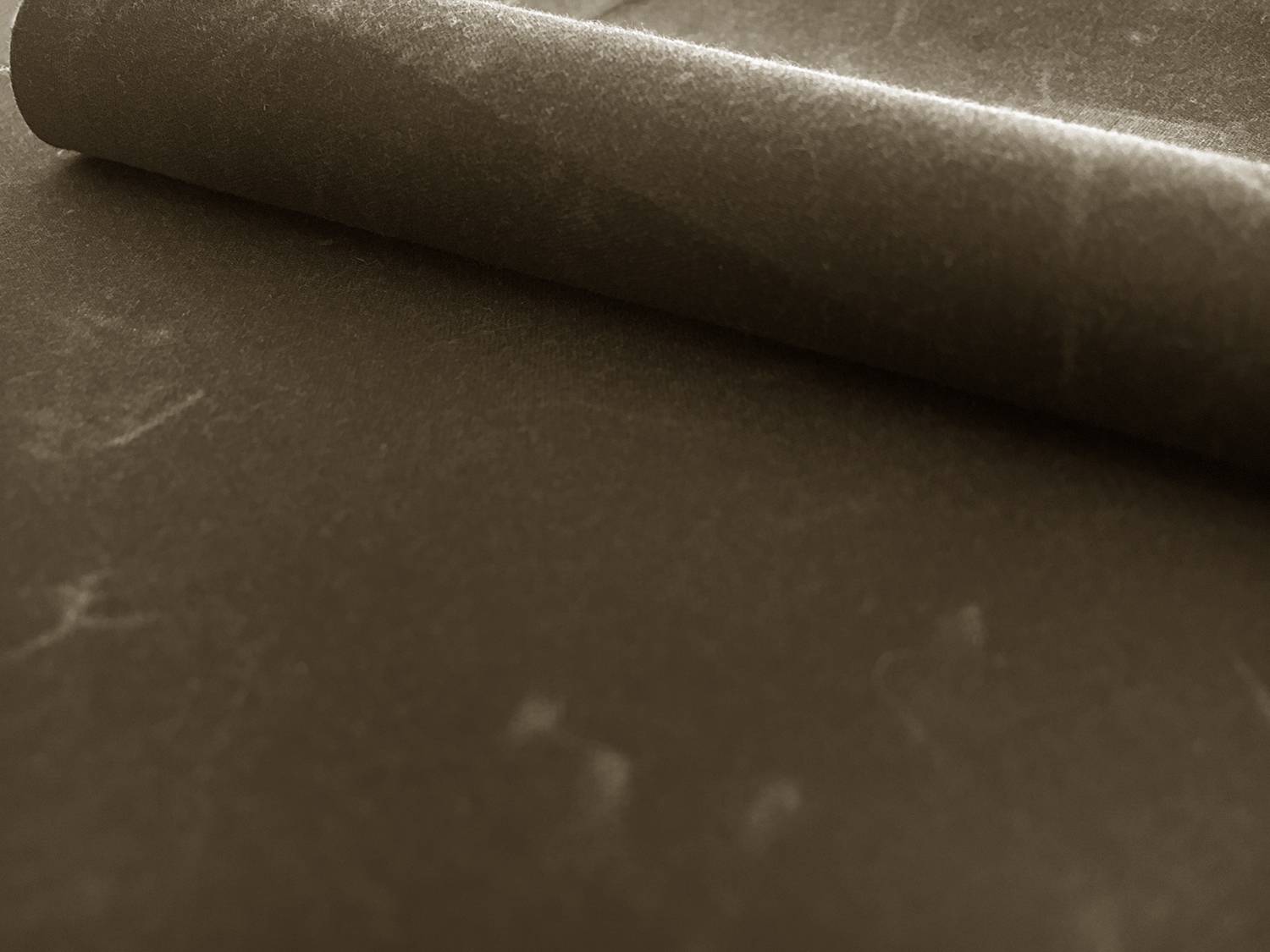 Cotton Wax Cloth in Olive0