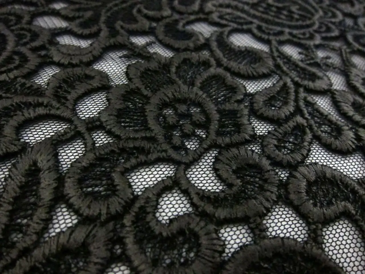 Coated Embroidered Tulle2