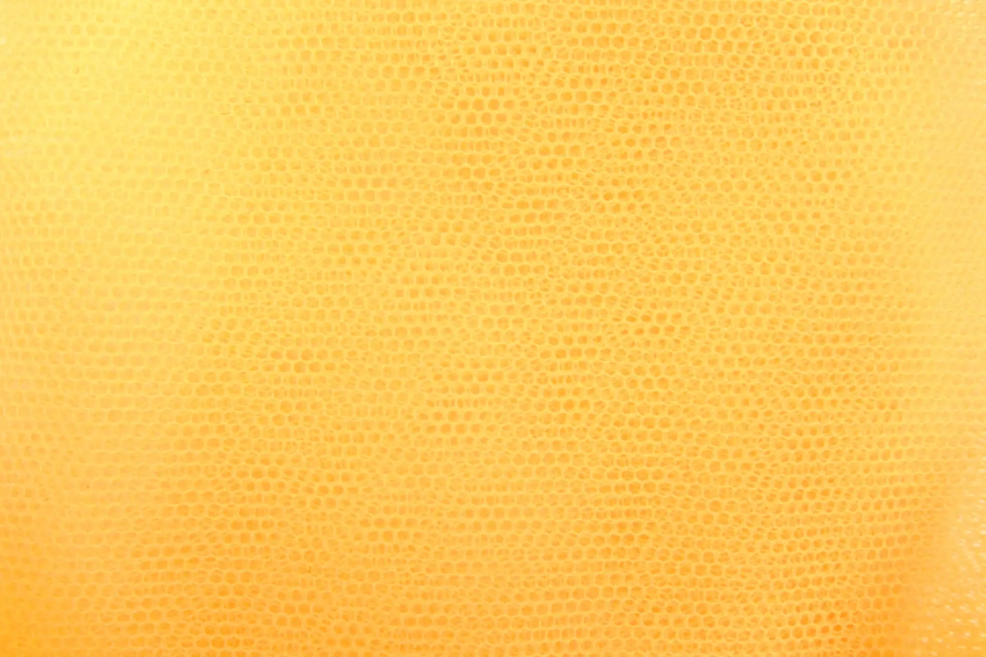 Italian Nylon Tulle in Girasole0