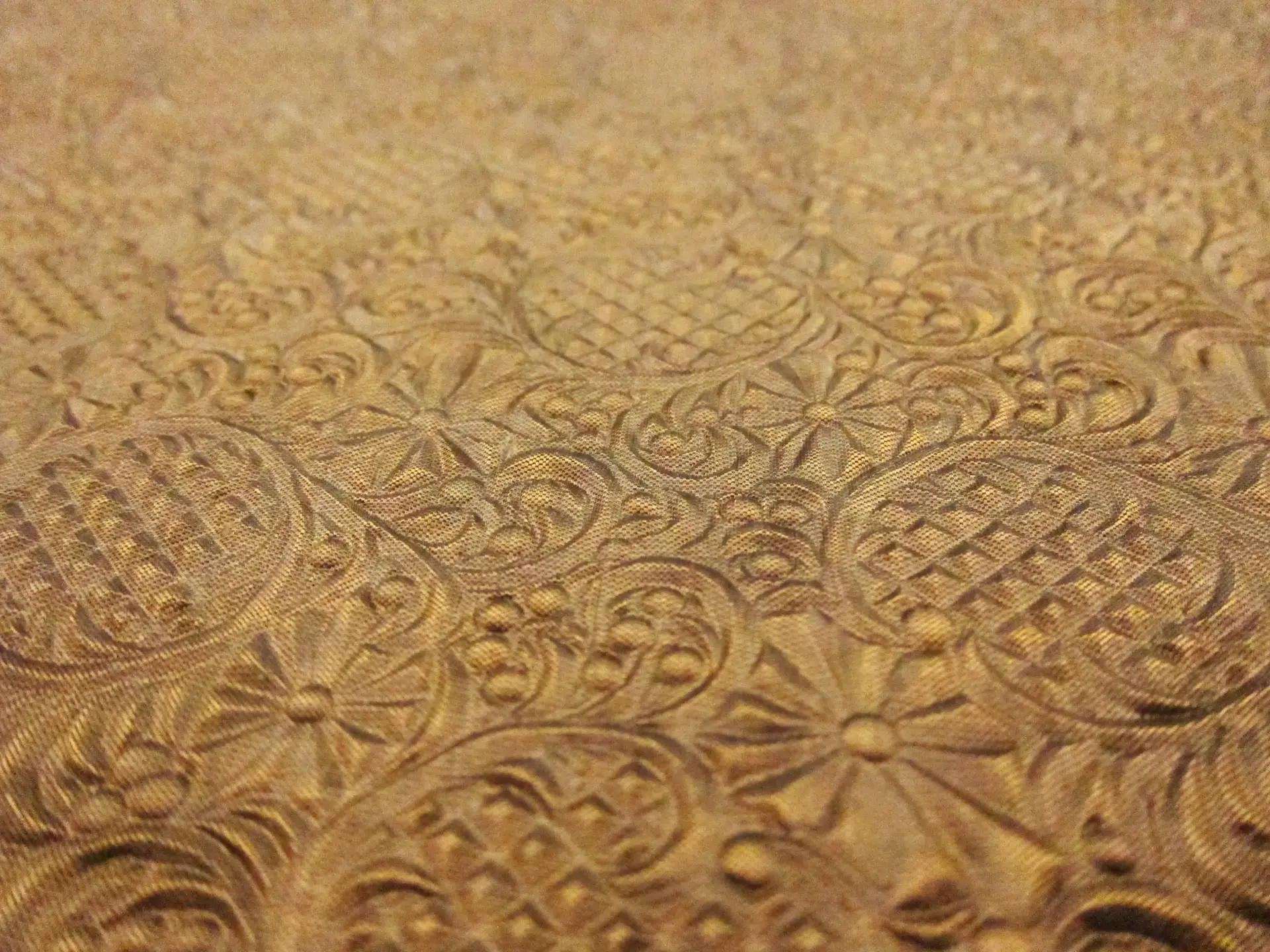 Embrossed Cere Silk Doupioni2