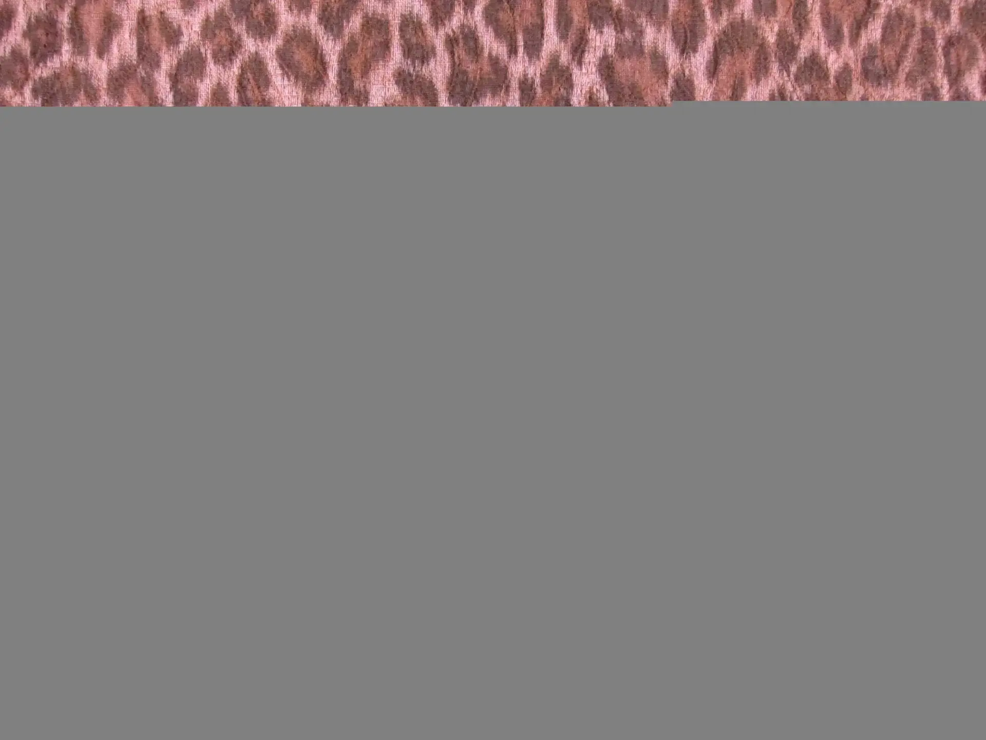 Brocade0