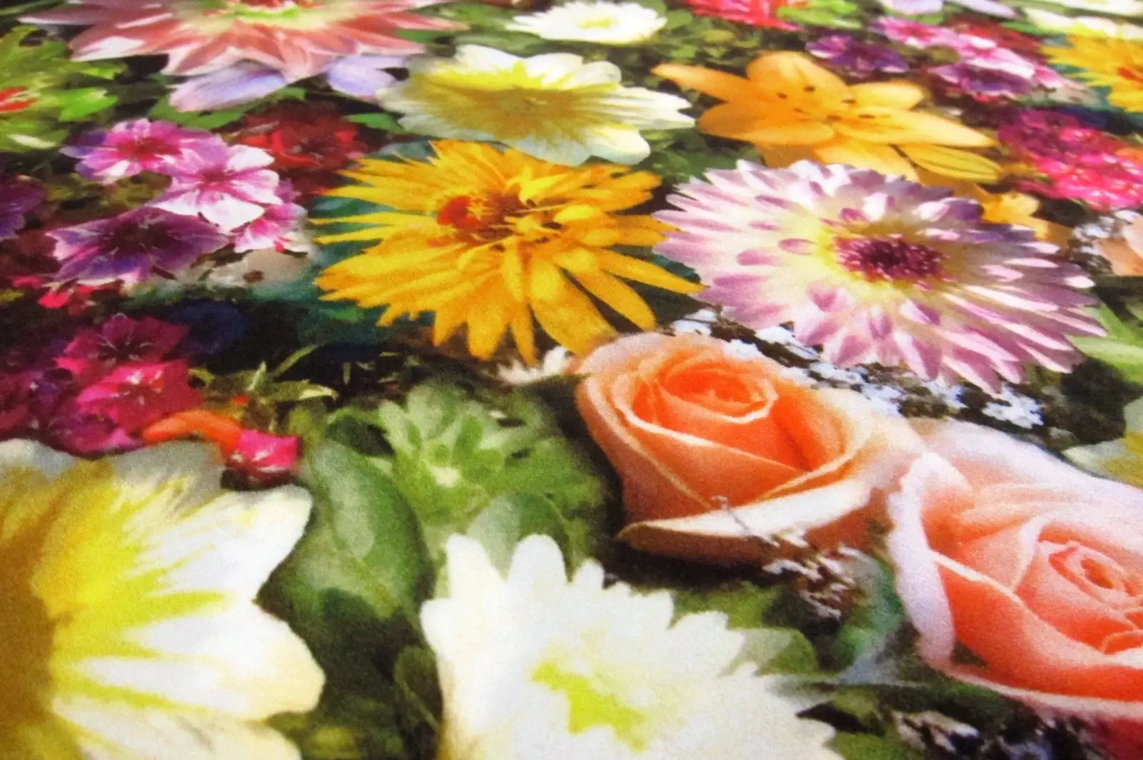 Printed Silk Charmeuse2