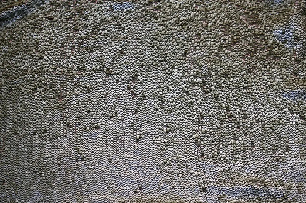 Sequins on Silk Chiffon1