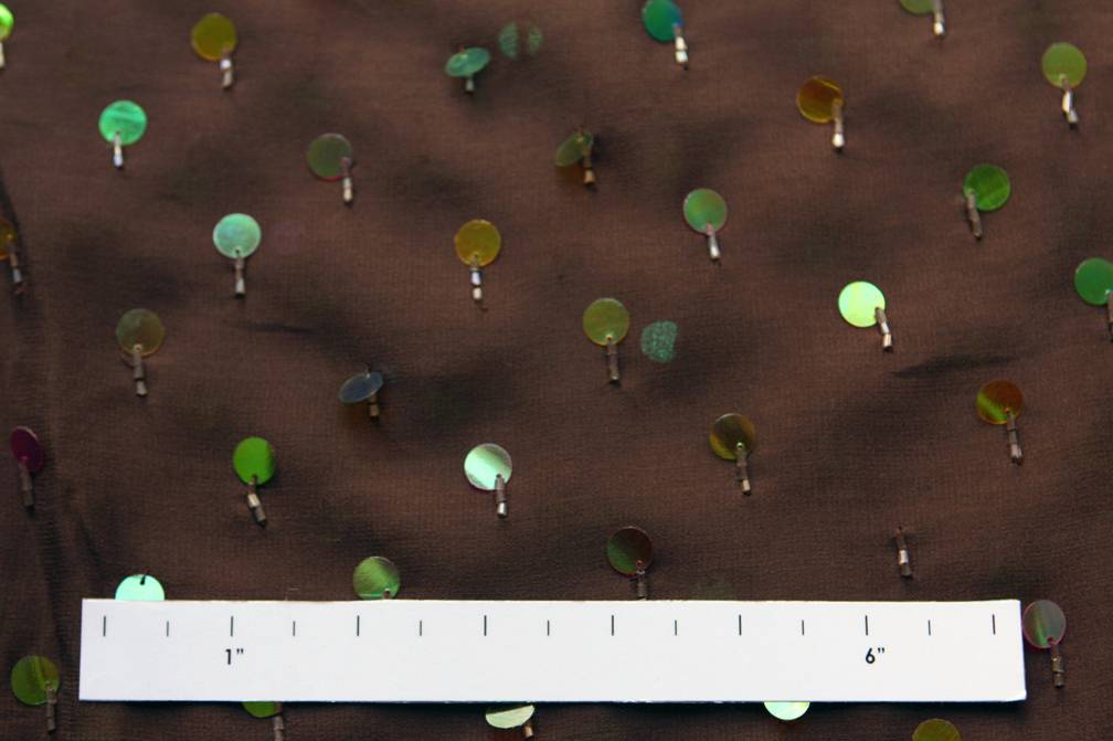 Paillettes on Silk Chiffon1