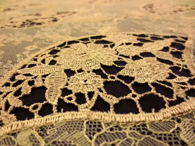 Embroidered Chantilly Lace2