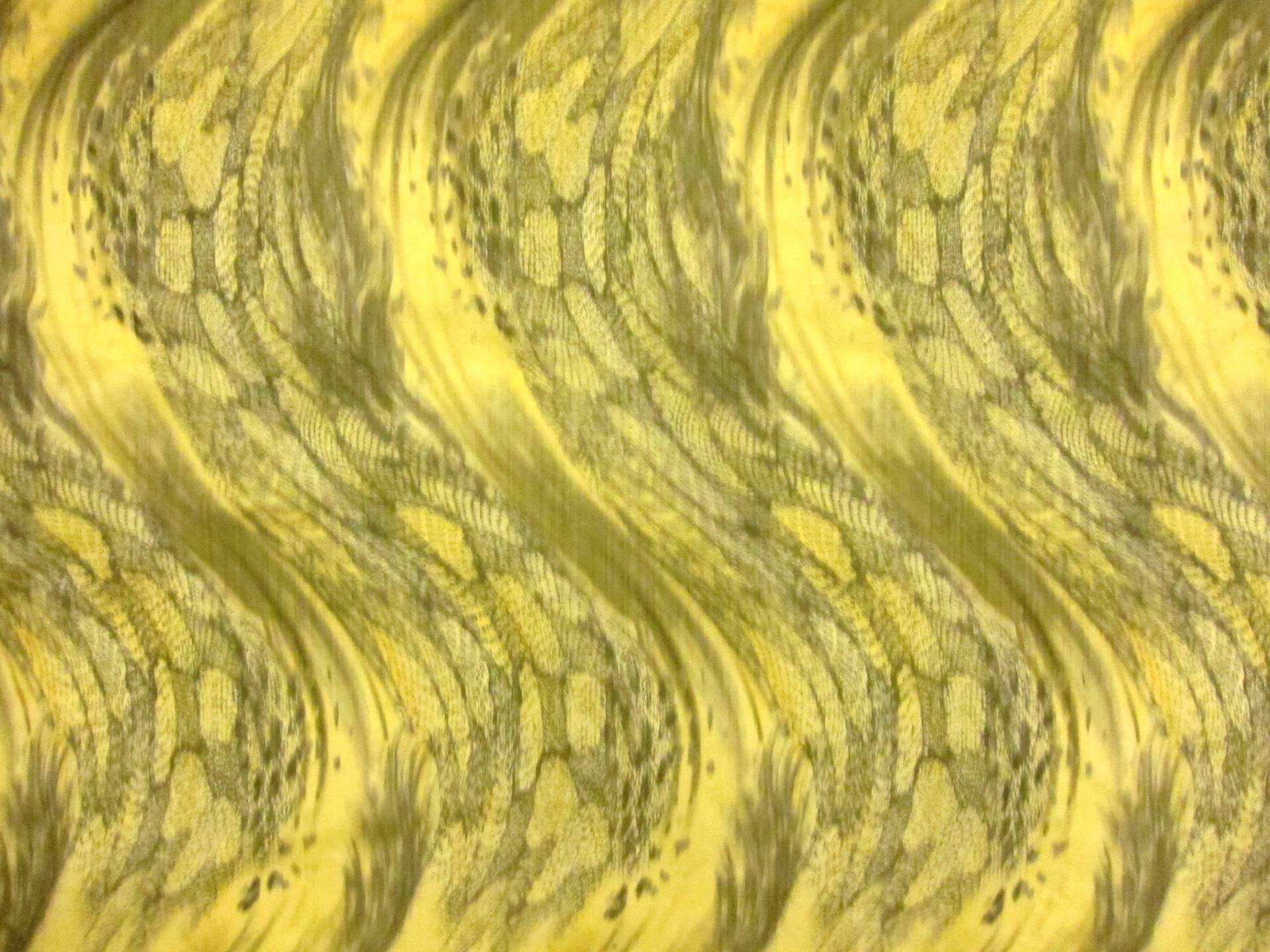 Polyester Nylon Warp Taffeta0
