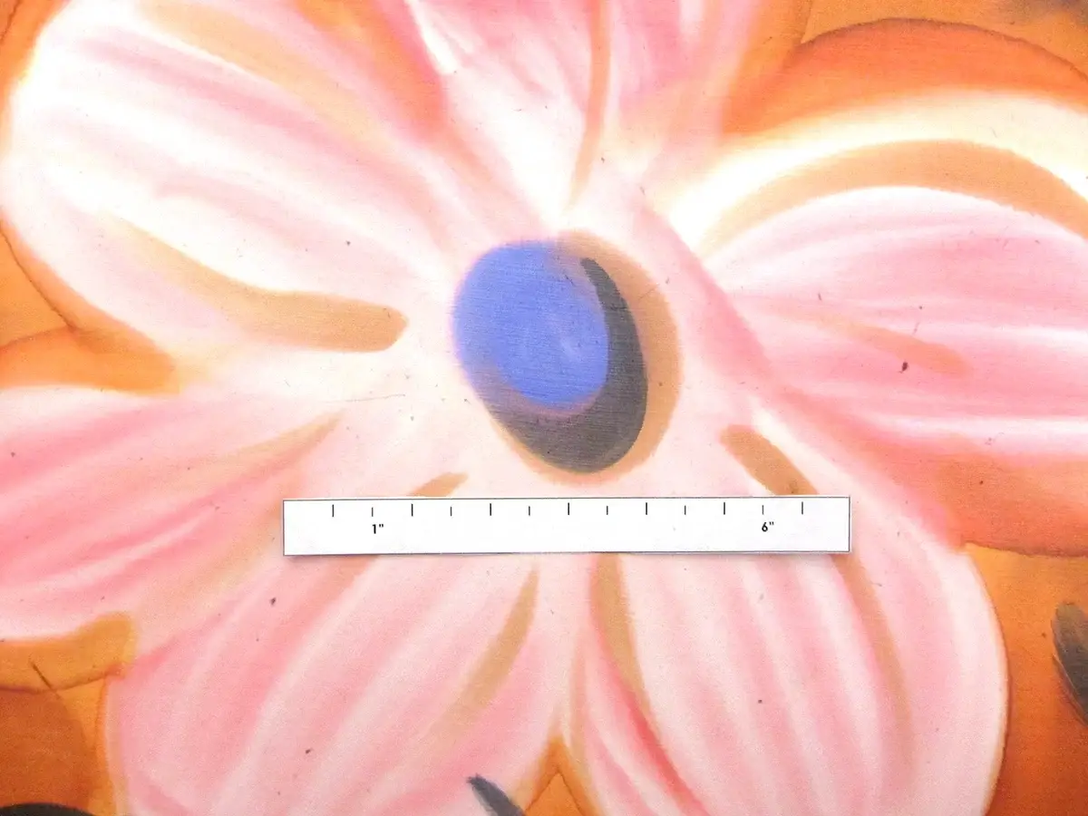 Hand Painted Silk Chiffon2