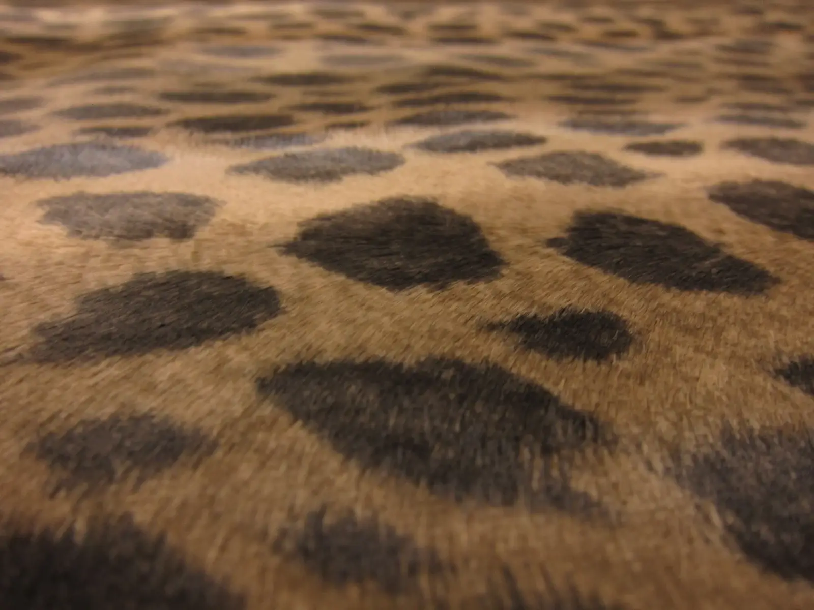 Faux Fur2