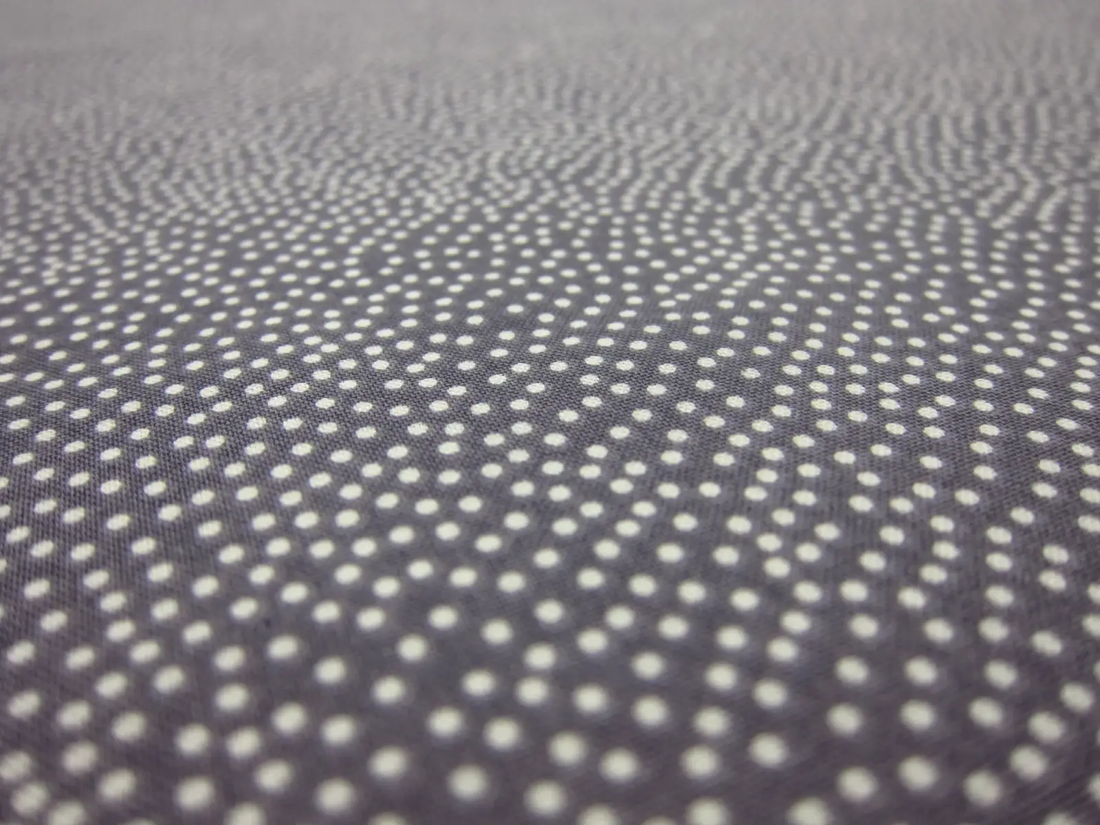 Cotton Broadcloth Print2