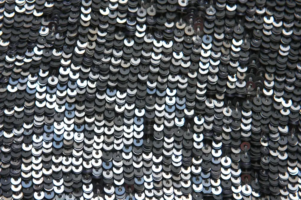 Sequins on Silk Chiffon2
