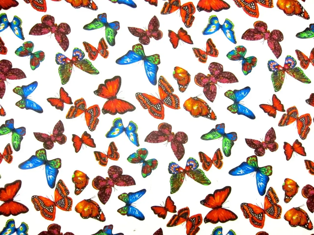 Printed Silk Chiffon0