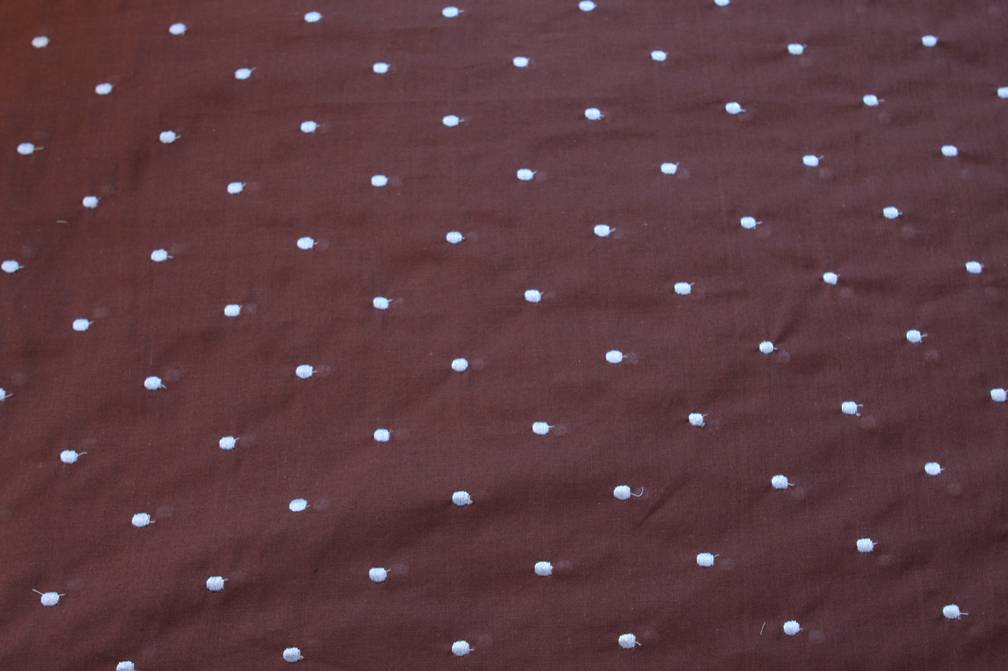 Cotton Embroidered Dots in Blue over Brown0