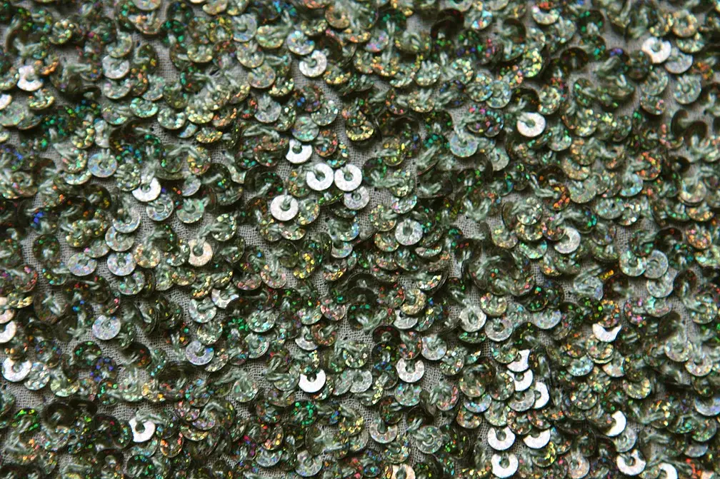 Sequins on Silk Chiffon2