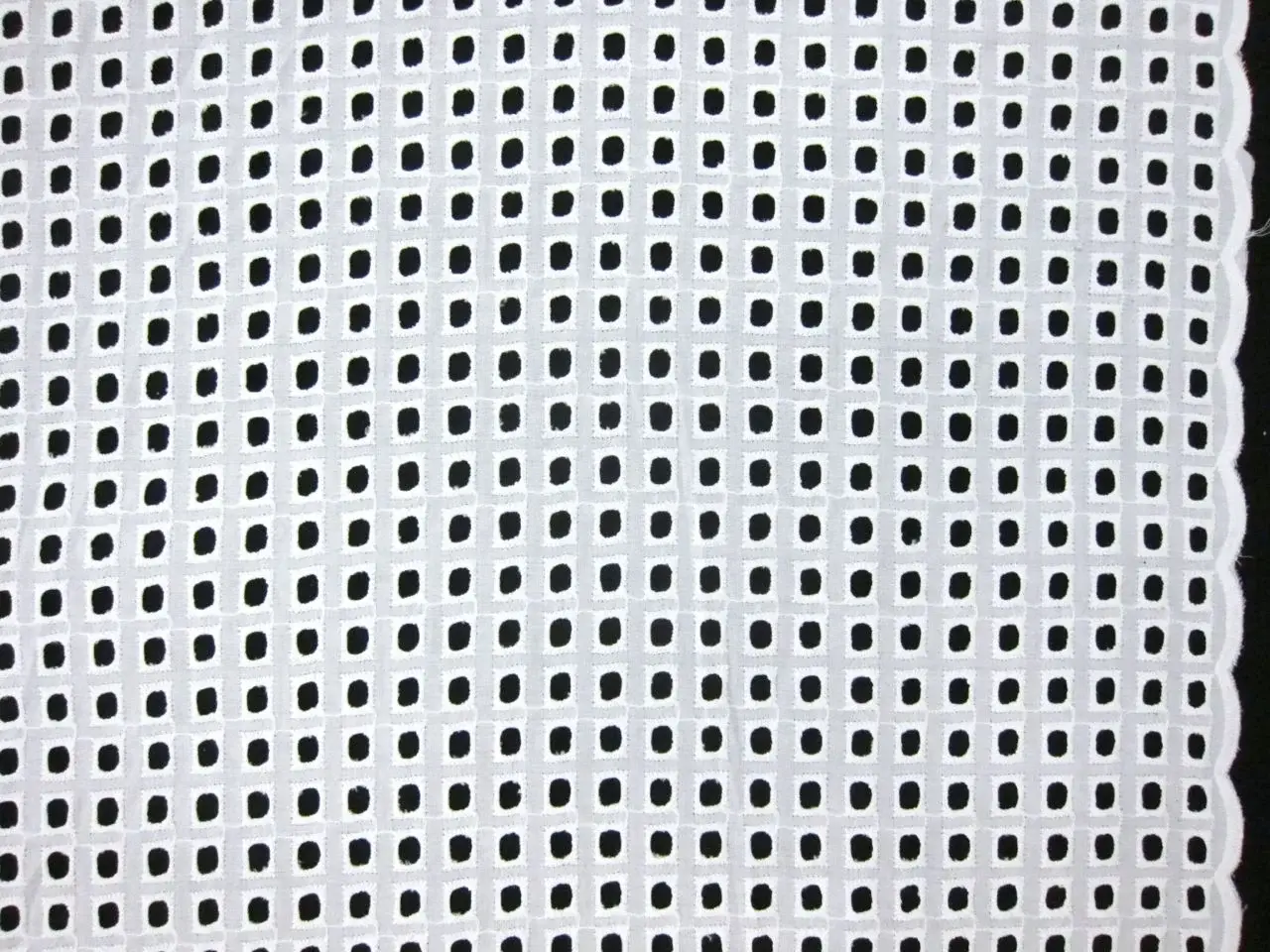 Cotton Eyelet in White0