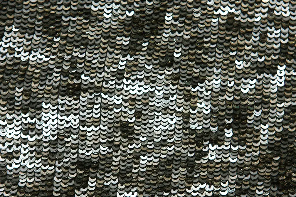 Sequins on Silk Chiffon2