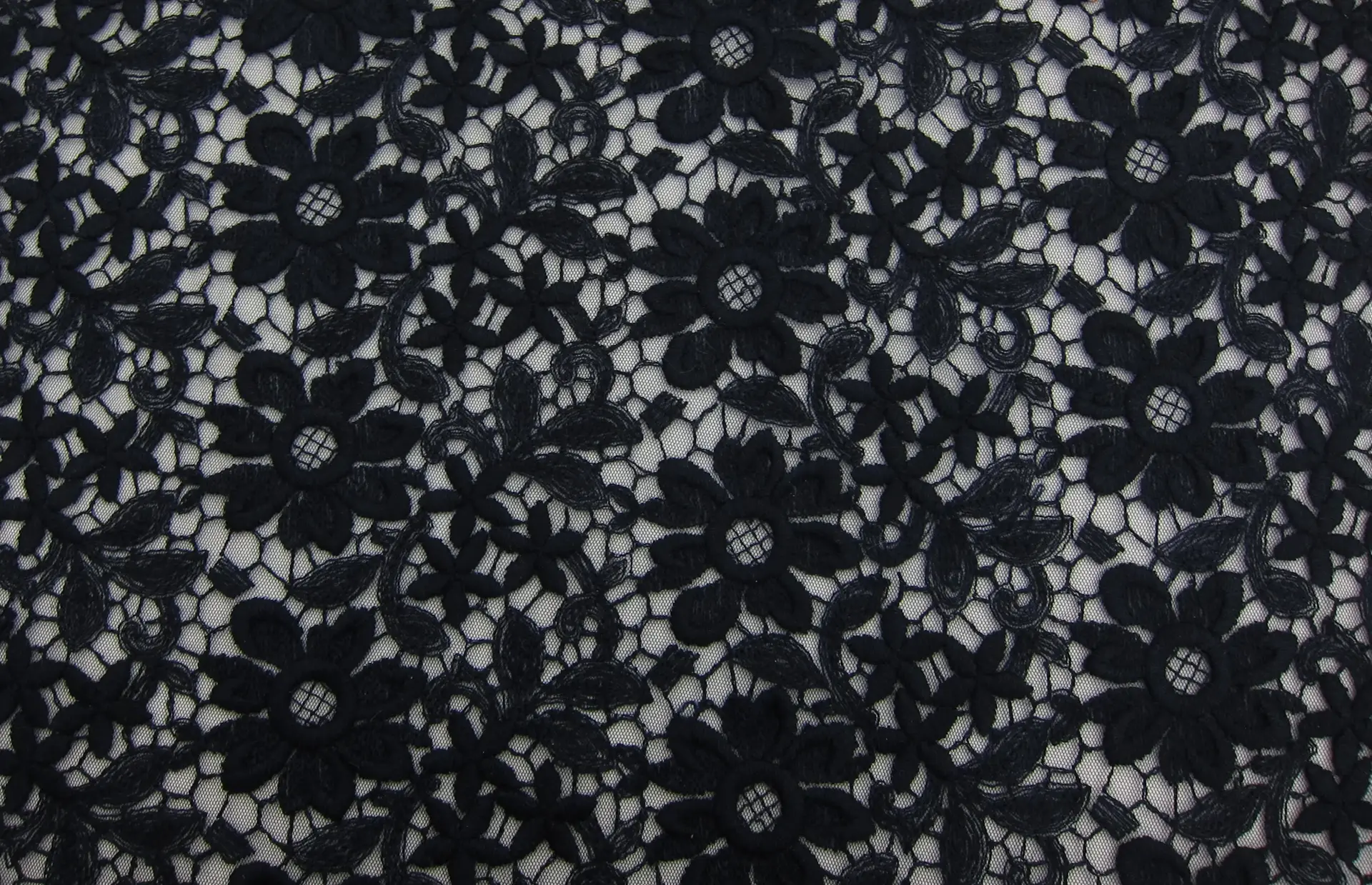 Wool Embroidered Illusion0