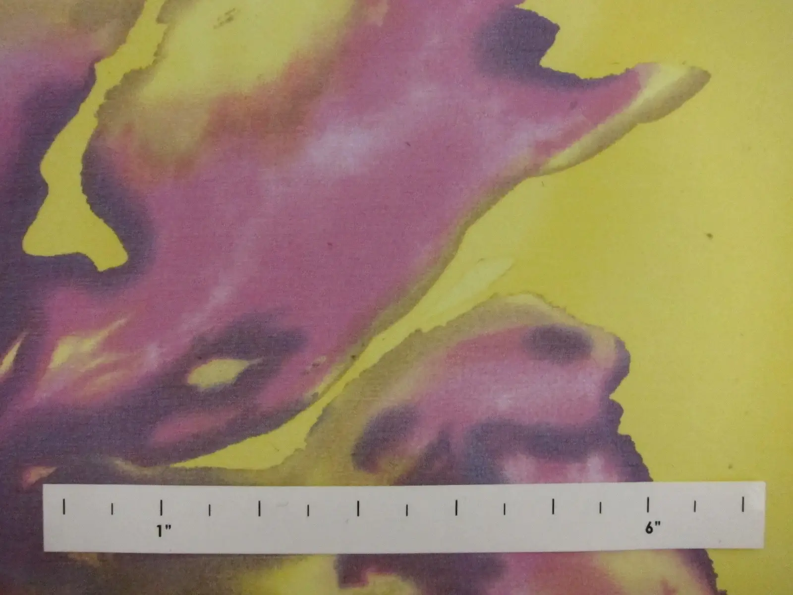 Printed Silk Chiffon0