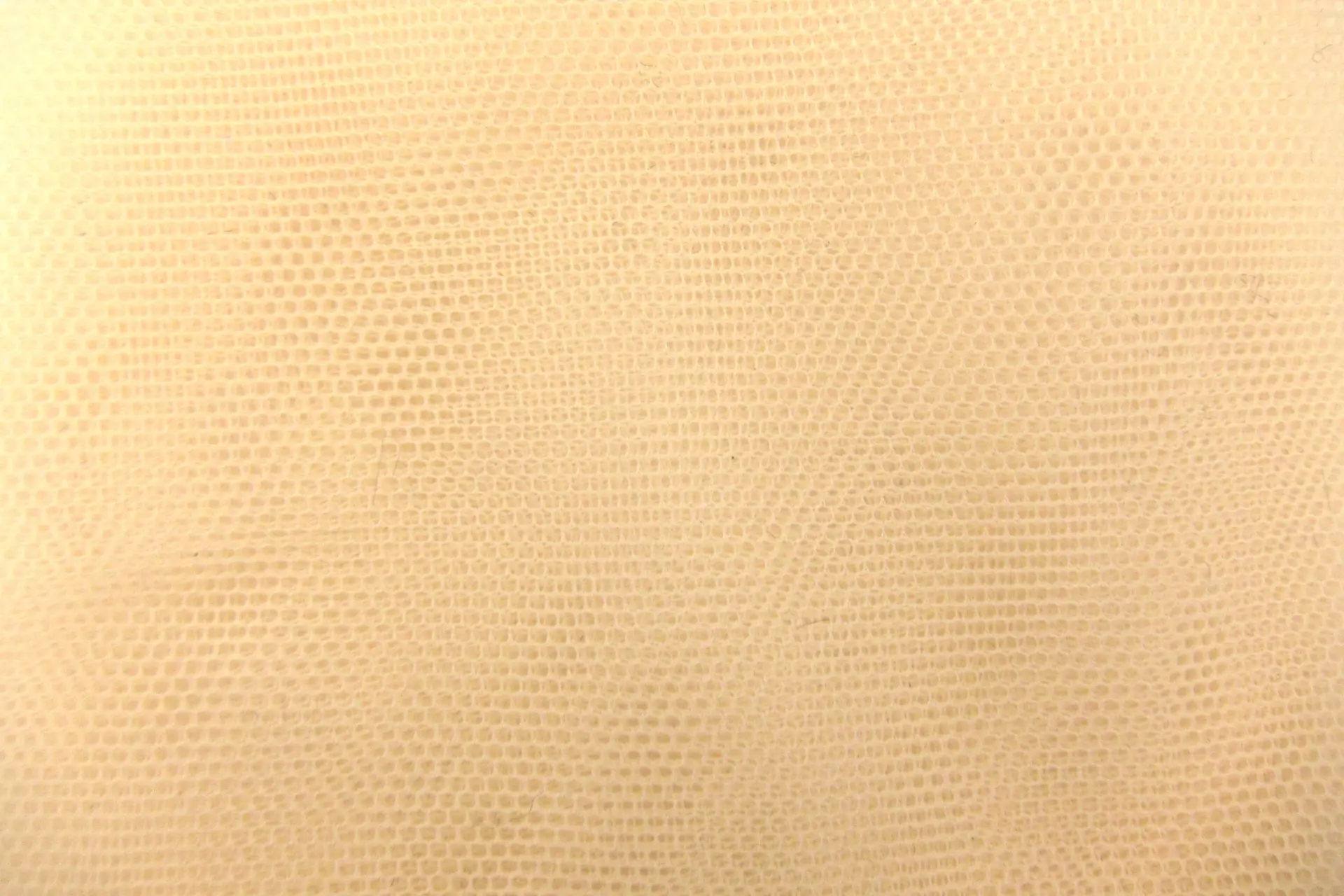 Italian Nylon Tulle in Beige0