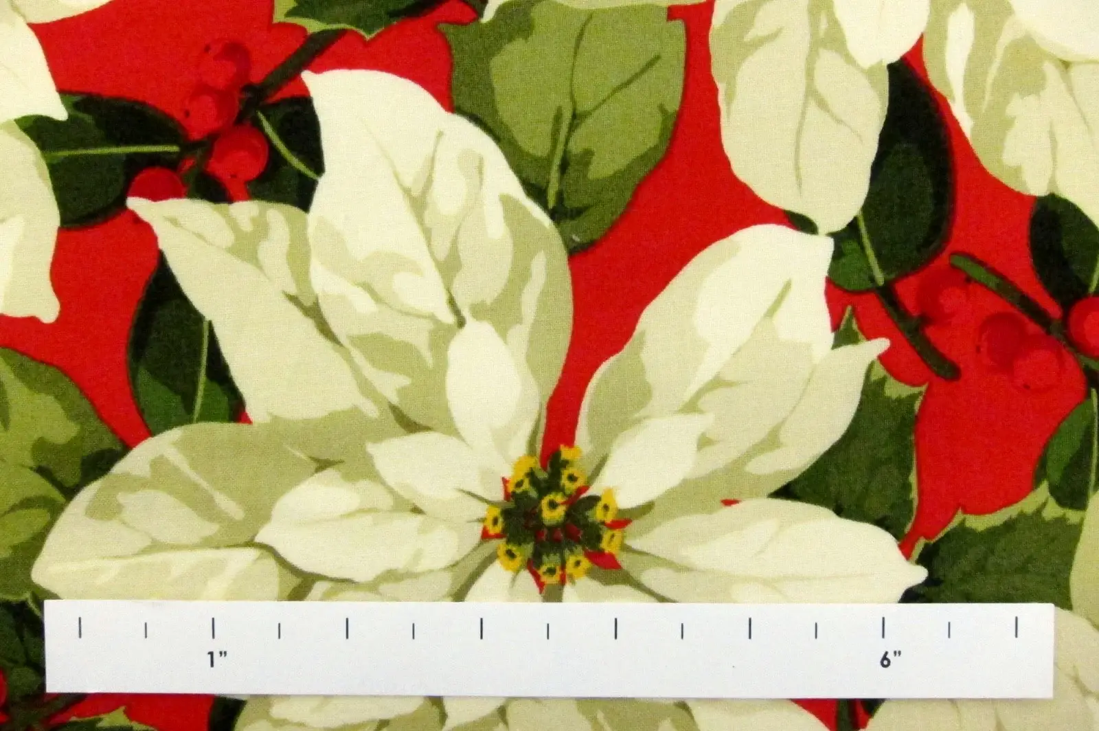 Cotton Broadcloth Print1