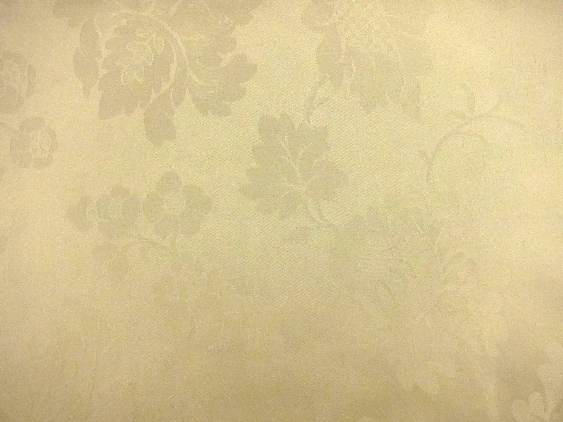Cotton Jacquard2