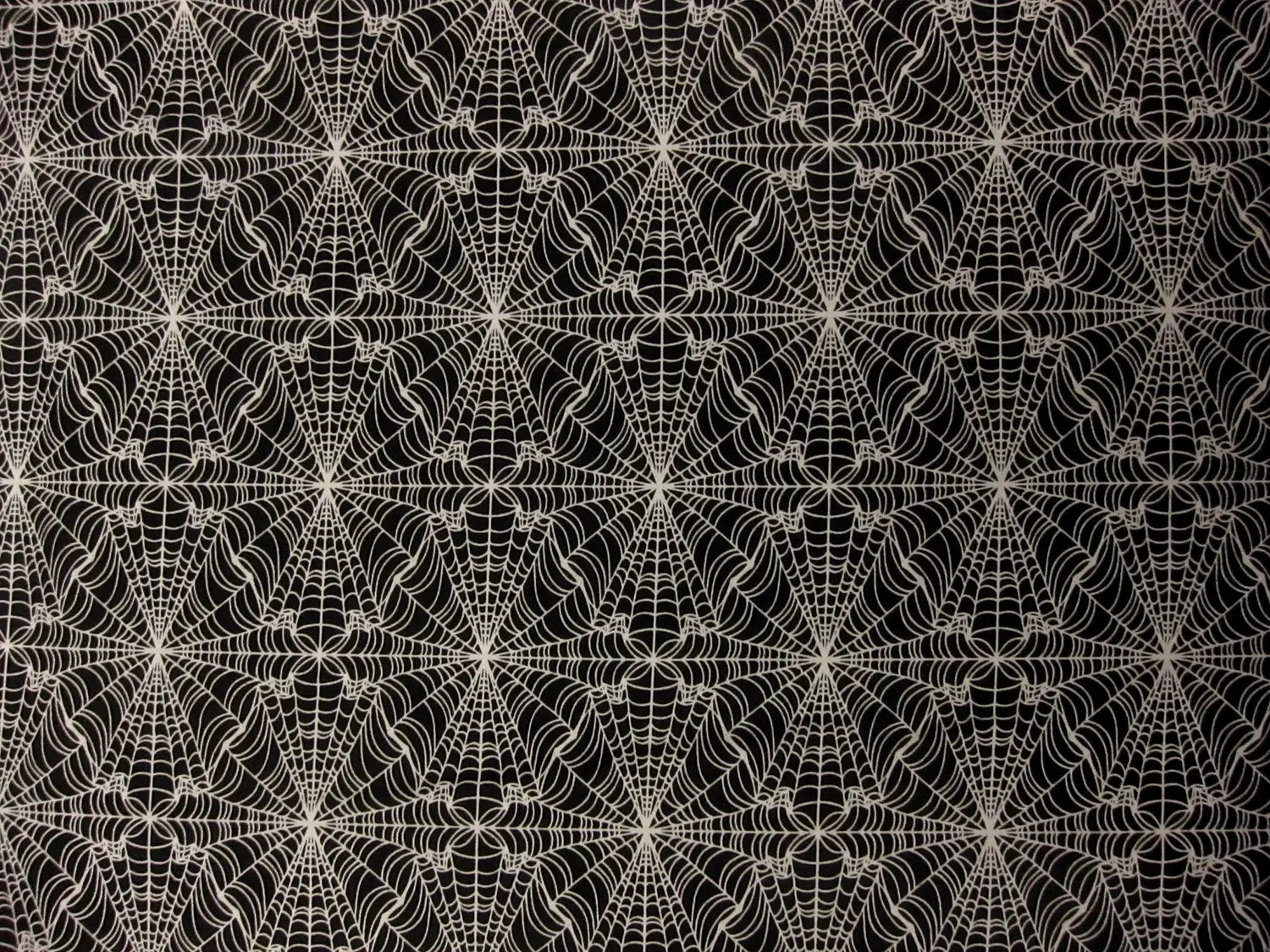 Cotton Broadcloth Print 0