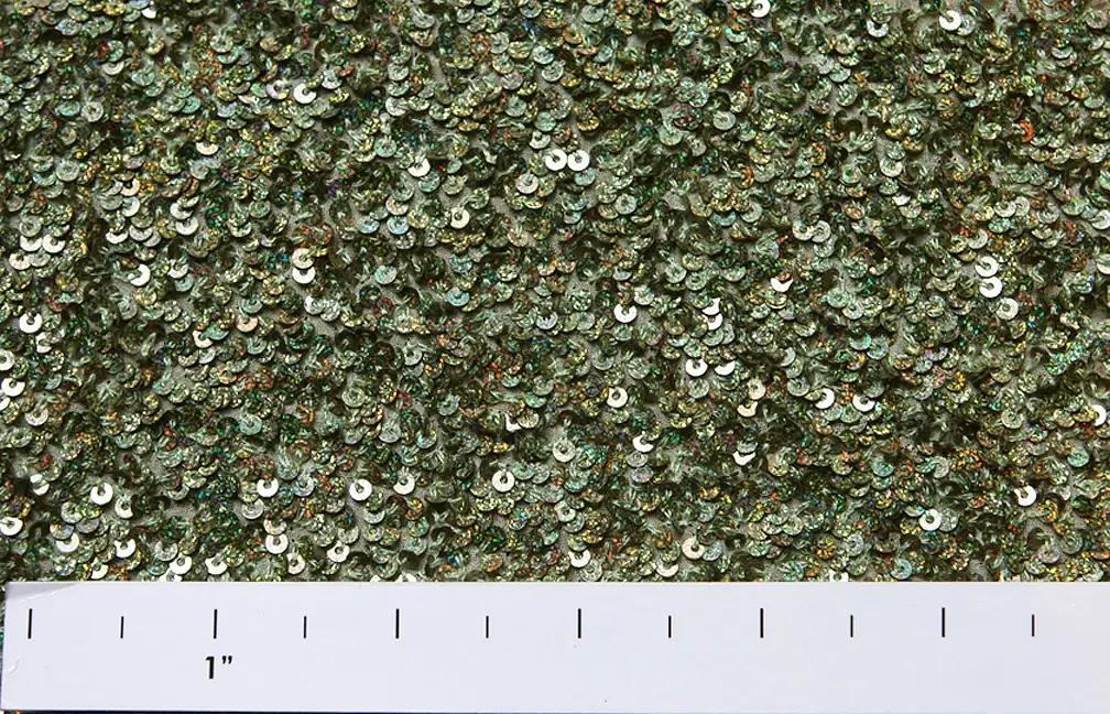Sequins on Silk Chiffon1