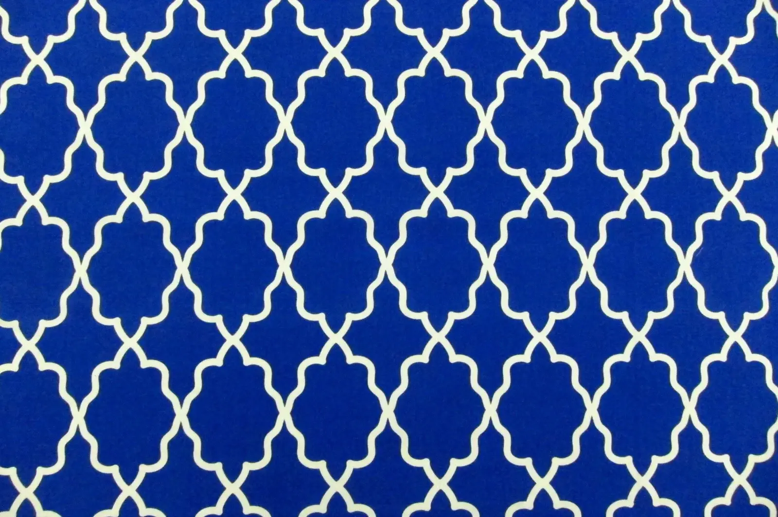 Cotton Broadcloth Print0