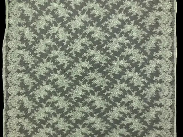 Beaded Chantilly Lace3
