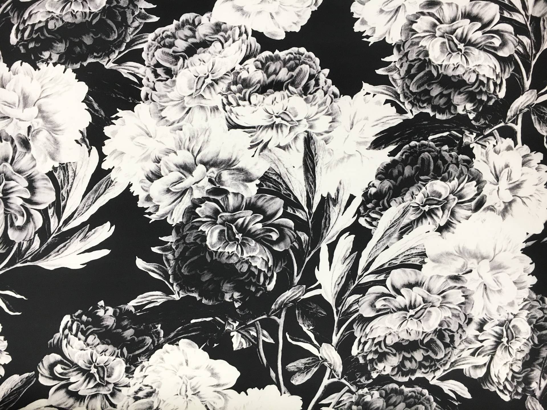 Printed Silk Satin Organza 0
