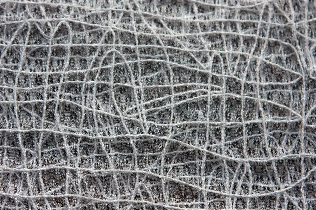 Embroidered Souffle2