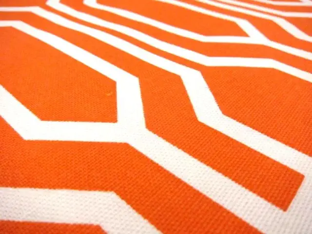 Cotton Canvas Geometric Repeat Print2