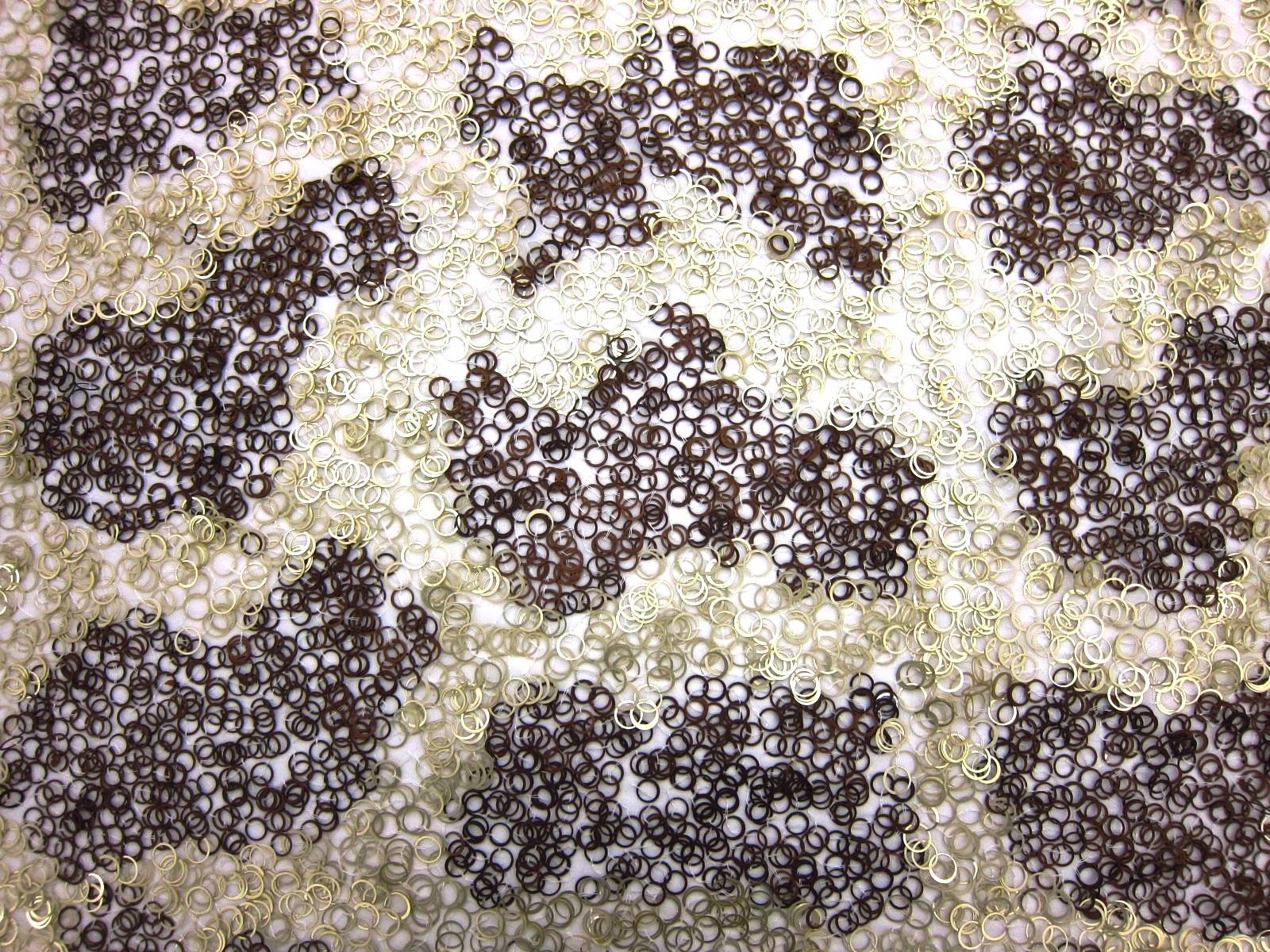 Novelty Sequins on Silk Chiffon0
