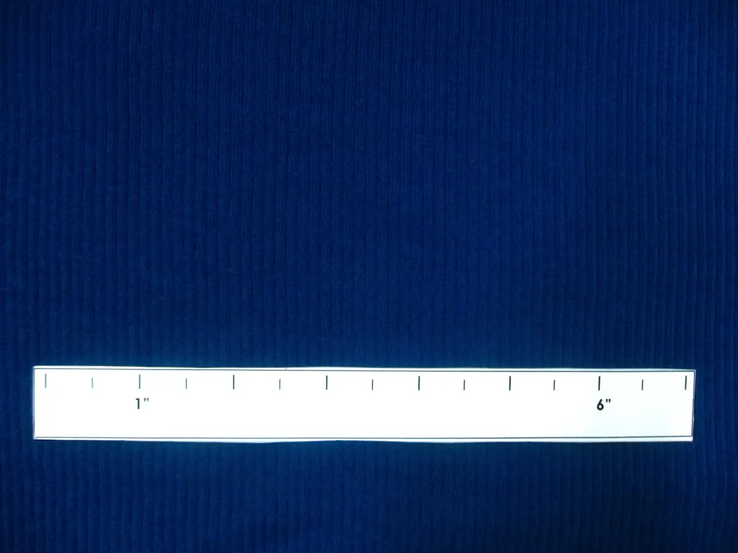 Virgin Wool Rib Knit in Royal1