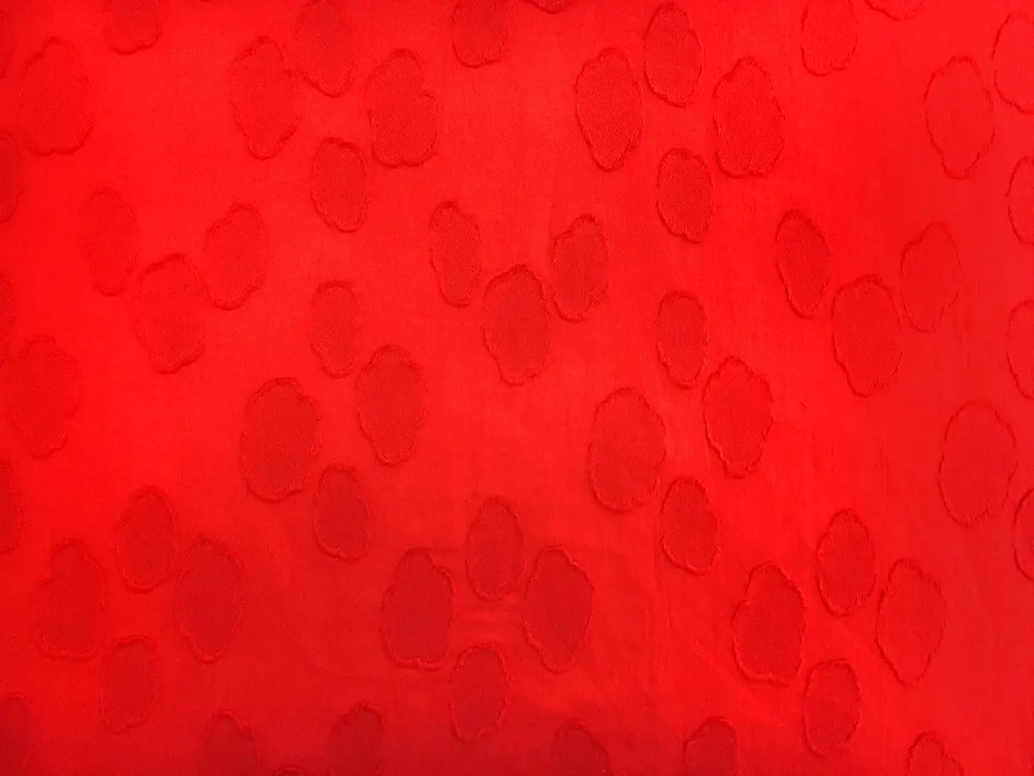 Swiss Cotton Voile Fil Coupe0