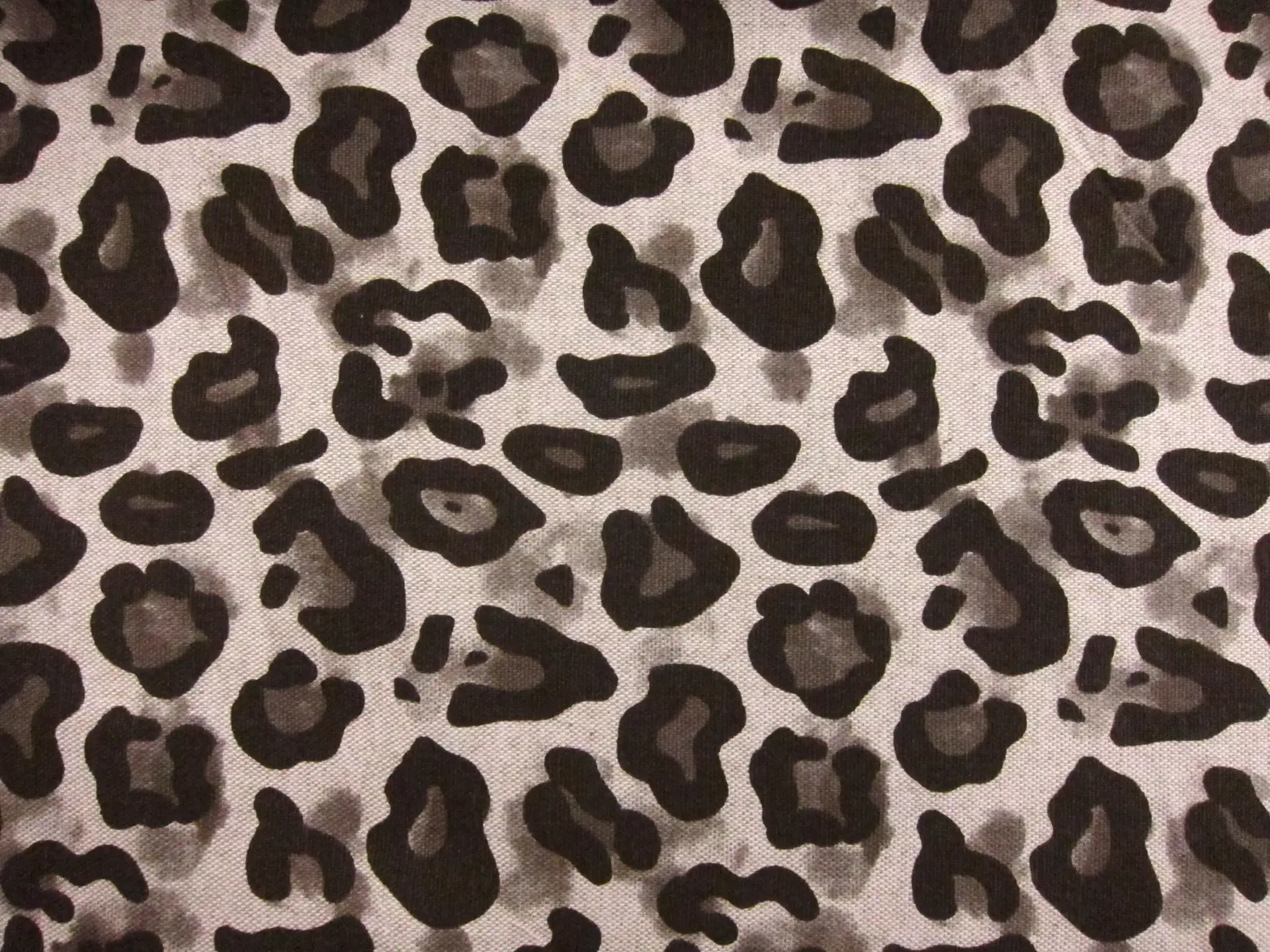 Cotton Canvas Print0