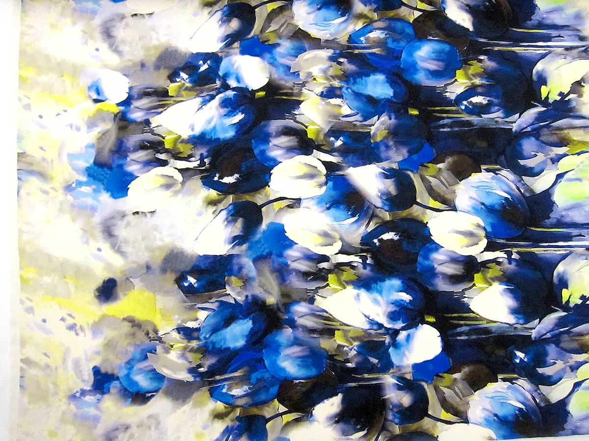 Printed Silk Gazar0
