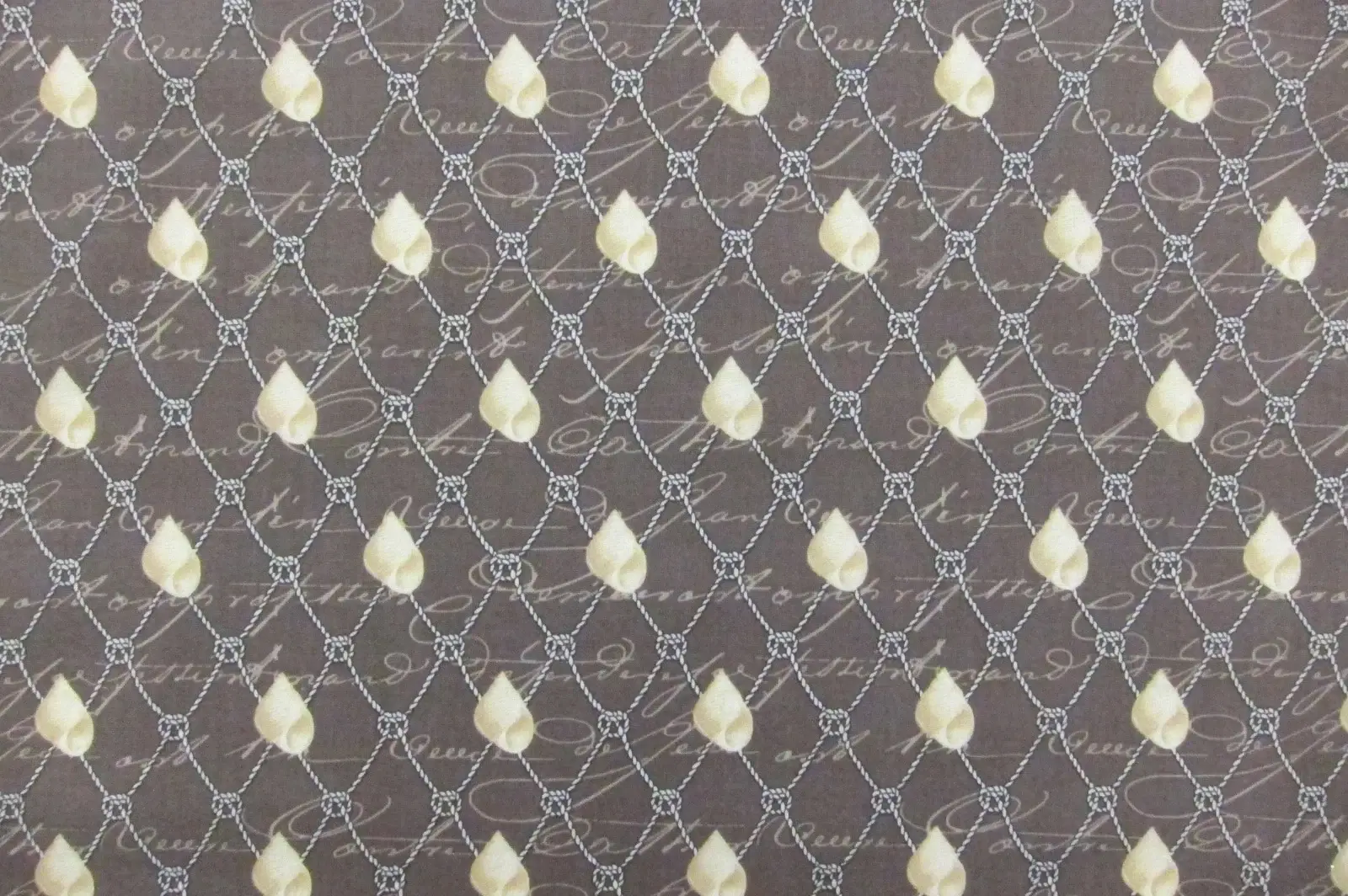 Cotton Broadcloth Print0