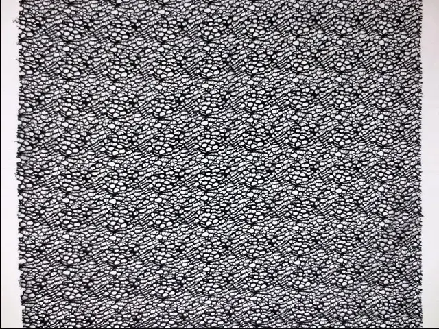 Corded Chantilly Lace3