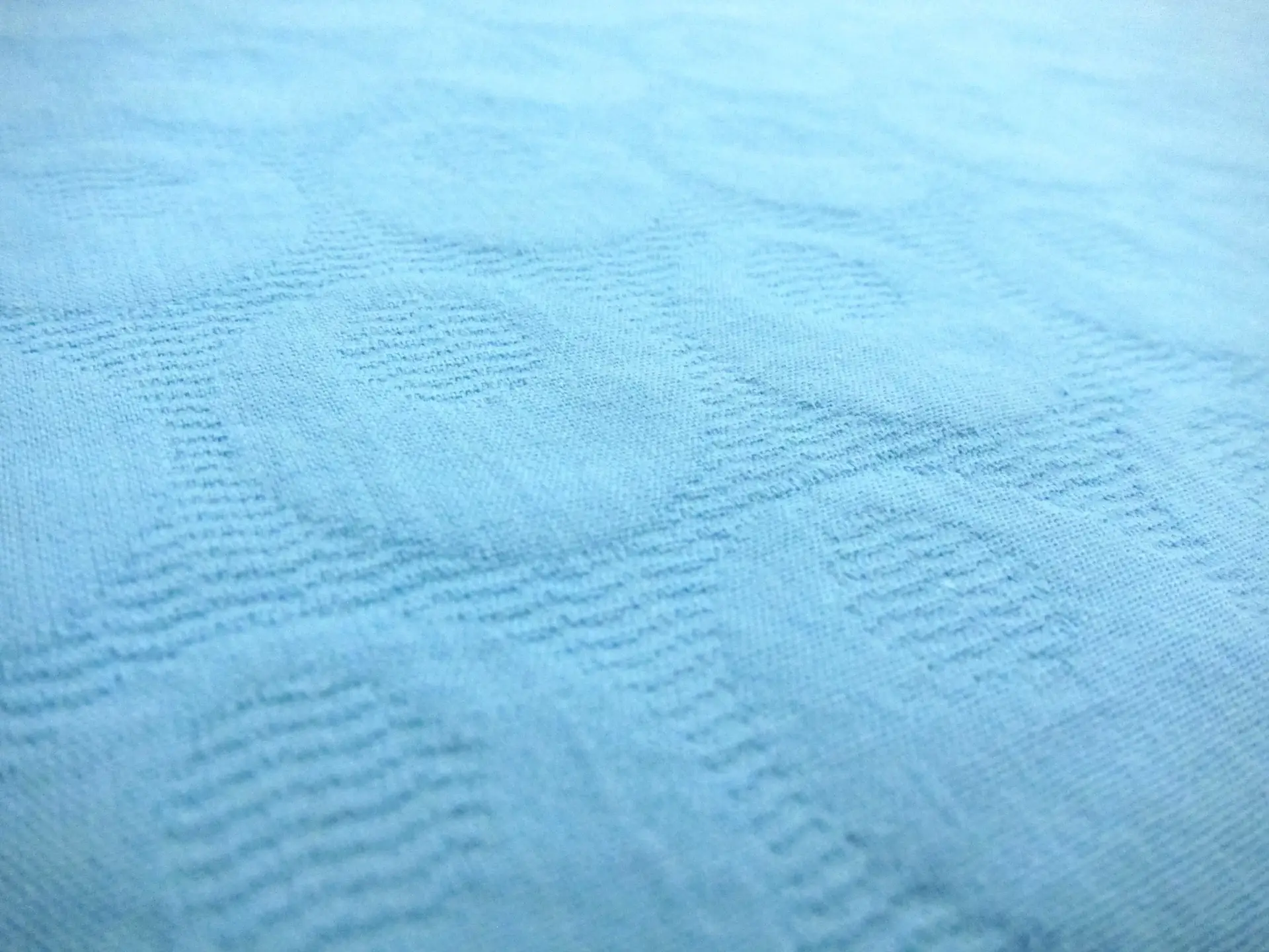 Cotton Brocade2