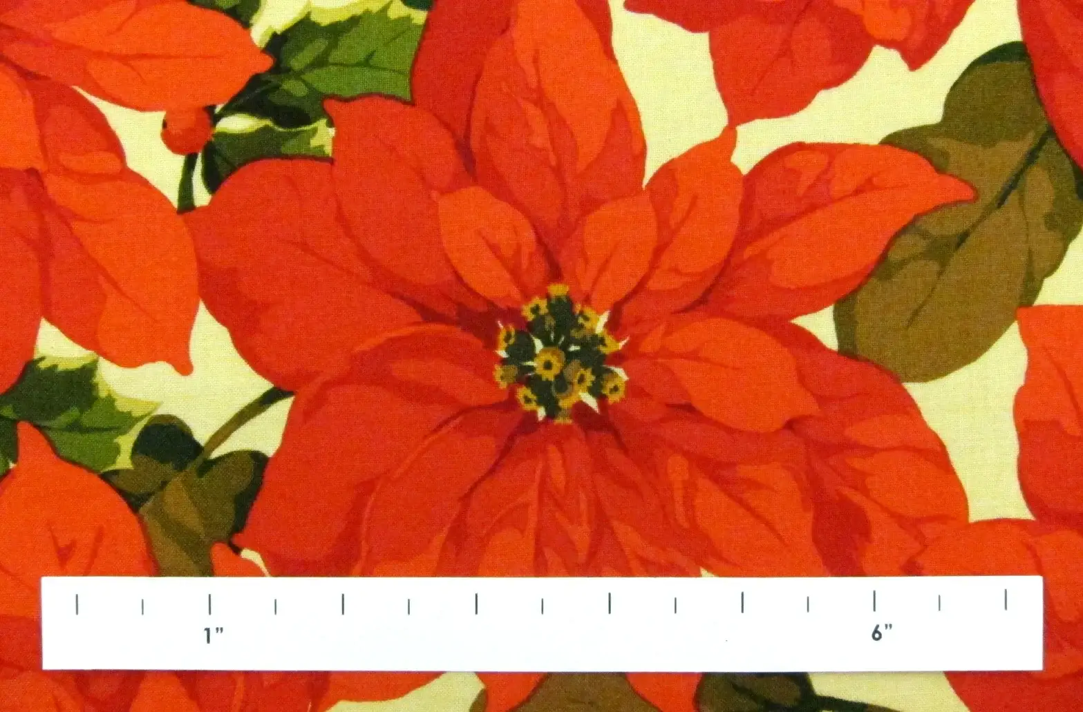 Cotton Broadcloth Print1