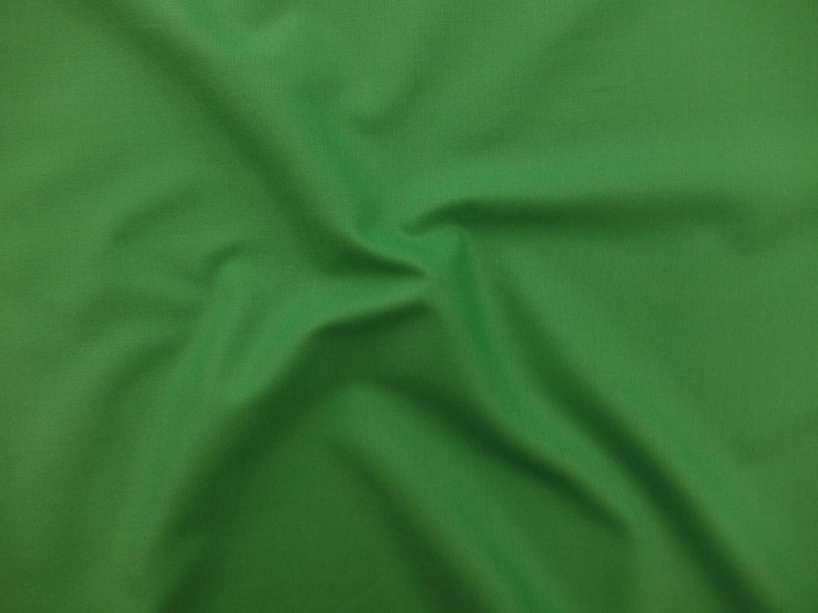 Kona Cotton in Fern0