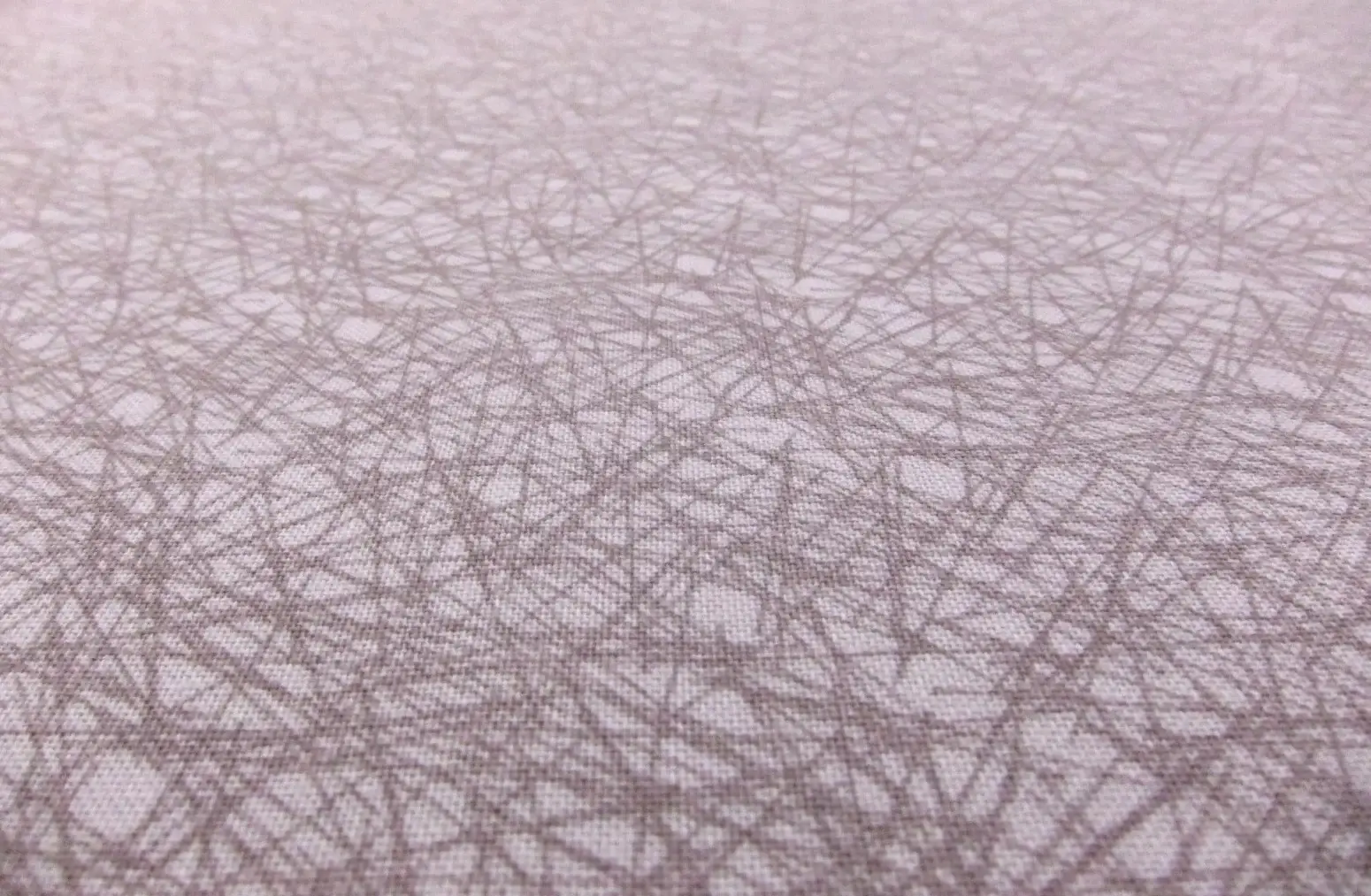 Cotton Broadcloth Print2