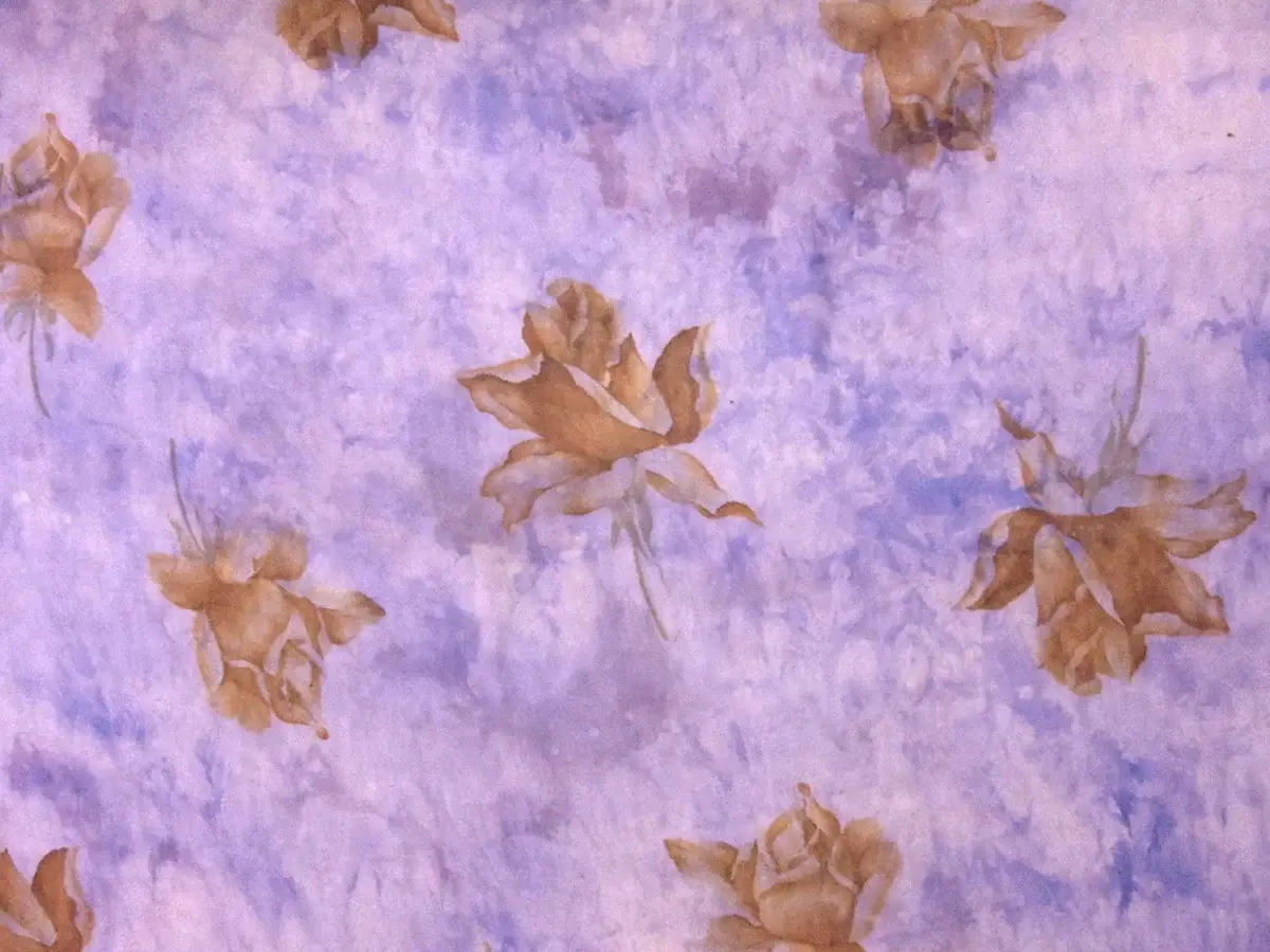 Printed Silk Chiffon0