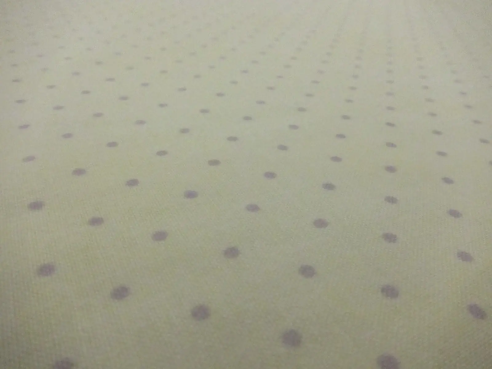 Cotton Broadcloth Print2