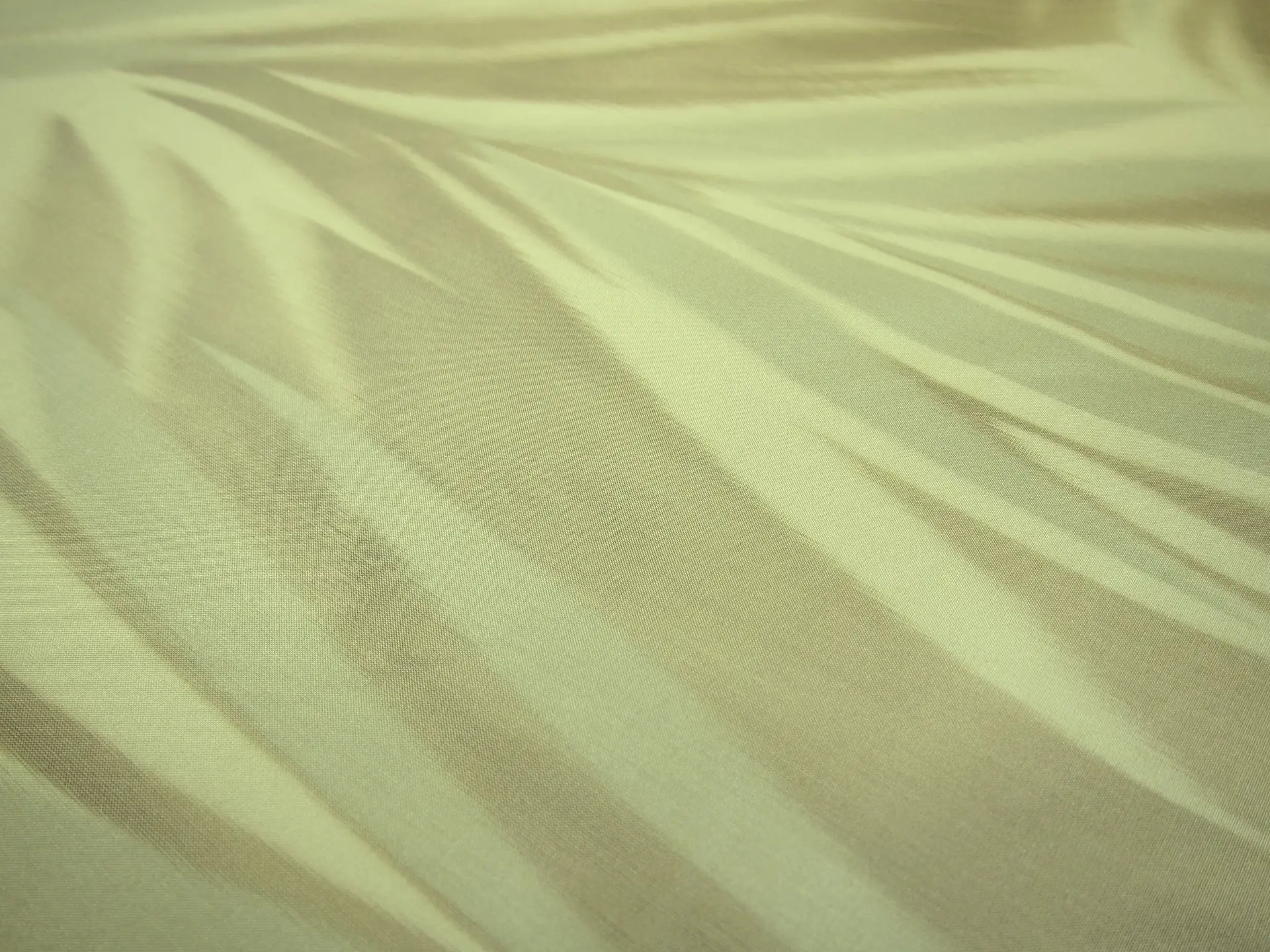 Silk Warp Taffeta2