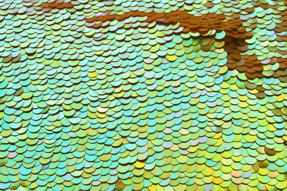Paillettes on Silk Chiffon1