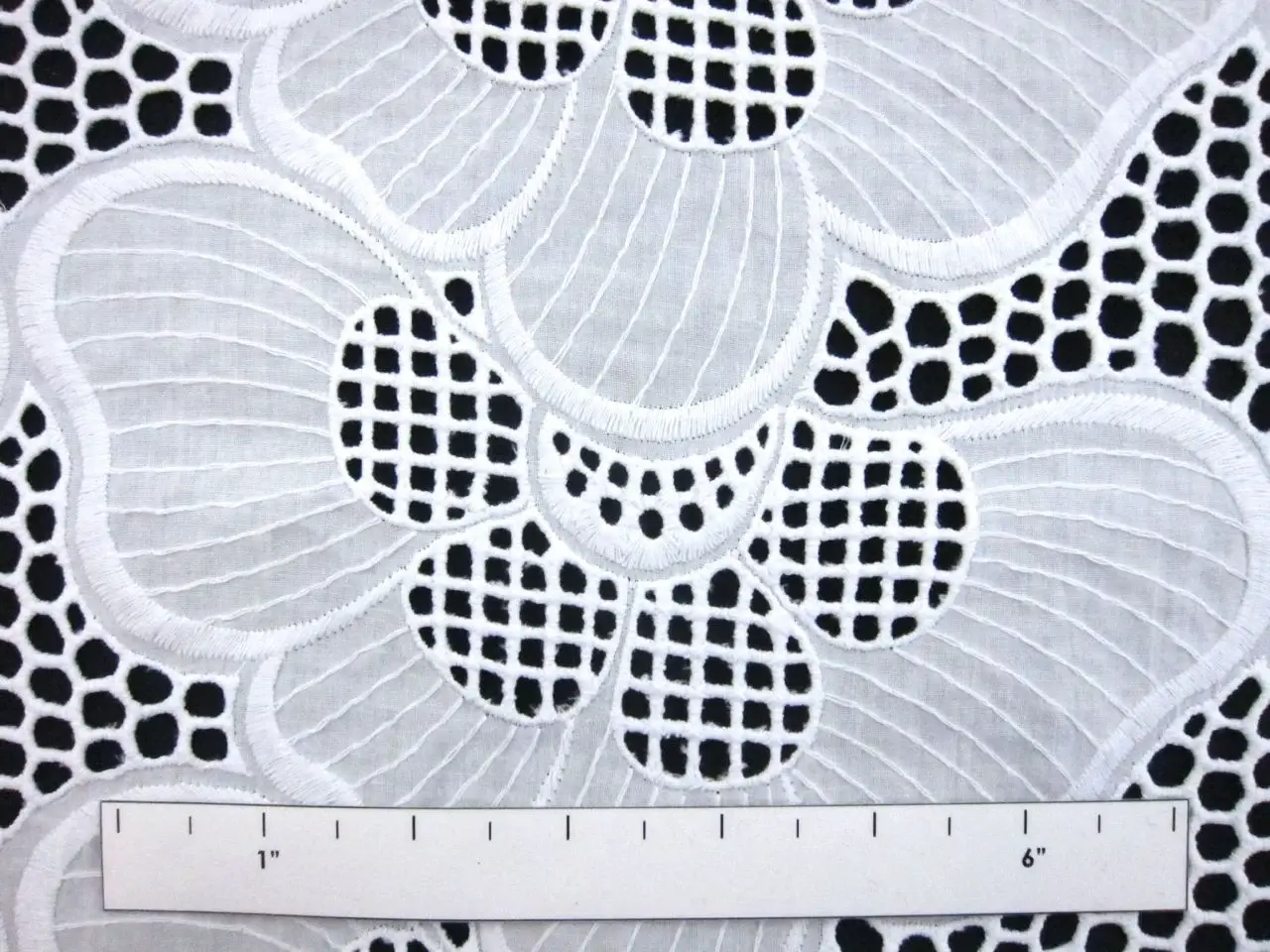 Cotton Eyelet1